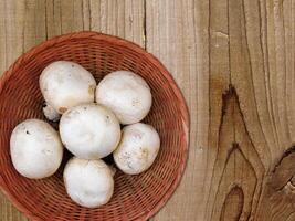 champignons dans la cuisine photo