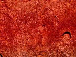 texture de pierre rouge dans le jardin photo