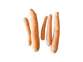 carottes sur fond blanc photo