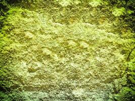 texture de Jaune pierre dans le jardin photo