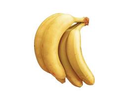 bananes dans le cuisine sur blanc Contexte photo