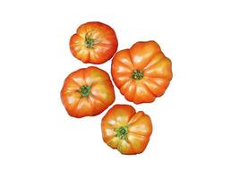 tomates dans le cuisine sur blanc Contexte photo