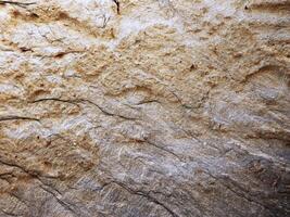 texture de marbre en plein air dans le jardin photo