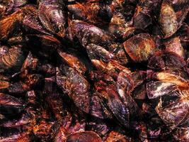 texture de moules dans le cuisine photo