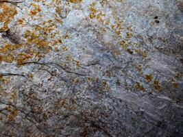 texture de marbre en plein air dans le jardin photo