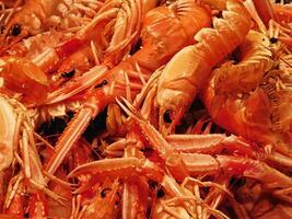 crevettes dans la cuisine photo