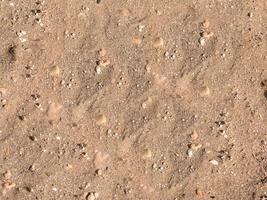 texture de sable à l'extérieur dans le jardin photo