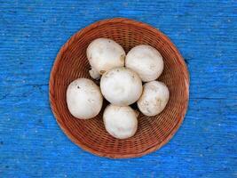 champignons sur le fond en bois photo