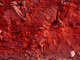 texture de pierre rouge dans le jardin photo