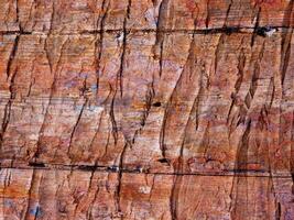 texture du bois à l'extérieur dans le jardin photo