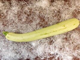 Zucchini dans le cuisine photo