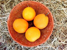 des oranges dans le cuisine photo