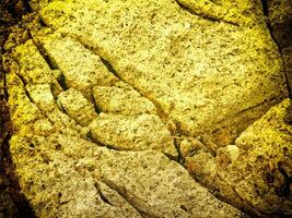 texture de Jaune pierre dans le jardin photo