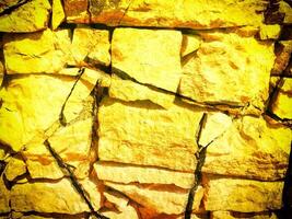 texture de Jaune pierre dans le jardin photo