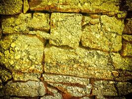 texture de Jaune pierre dans le jardin photo