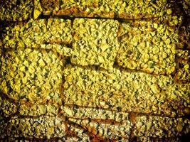 texture de Jaune pierre dans le jardin photo