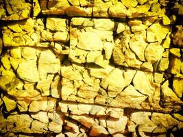 texture de Jaune pierre dans le jardin photo