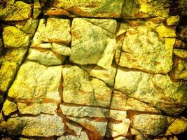 texture de Jaune pierre dans le jardin photo