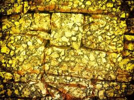 texture de Jaune pierre dans le jardin photo