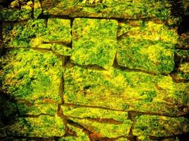 texture de Jaune pierre dans le jardin photo