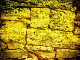 texture de Jaune pierre dans le jardin photo