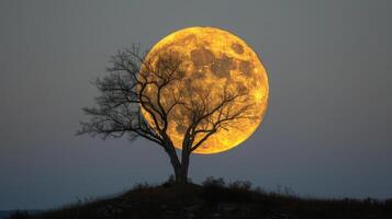 ai généré plein lune en hausse plus de arbre sur colline photo