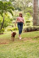 verticale coup de une content femme en marchant avec sa animal de compagnie en plein air. photo