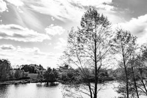 beau roseau des marais d'herbe poussant sur le réservoir du rivage dans la campagne photo