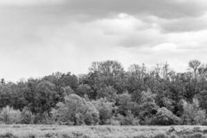 beau paysage d'horizon dans la prairie du village sur fond naturel de couleur photo