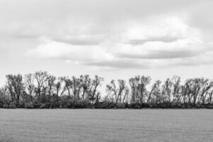 beau paysage d'horizon dans la prairie du village sur fond naturel de couleur photo