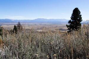 vue de carson vallée Nevada non Gênes photo