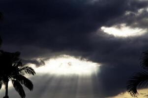lumière du soleil verser par Pause dans foncé des nuages Hawaii avec paume photo