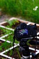 dslr caméra monté sur trépied prise vidéo de les plantes dans jardin photo