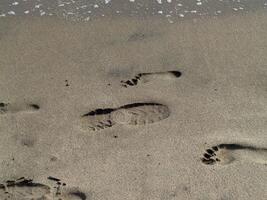 traversée empreintes dans le le sable photo