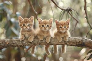 ai généré chaton chat bébé groupe de animaux pendaison en dehors sur une bifurquer, mignon, souriant, adorable photo