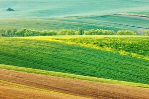 morave roulant paysage photo