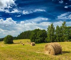 foins balles sur champ photo