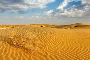 le sable dunes dans désert photo