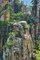 zhangjiajie montagnes, Chine photo