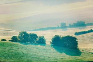 morave roulant des champs dans Matin brouillard photo