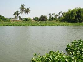 le rivière nommé tha menton est un de le principale rivières cette est très important pour agriculture dans Thaïlande photo