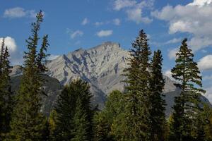 vue de monter Norquay de banff. photo