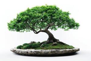 ai généré miniature bonsaï arbre isolé sur blanc Contexte photo