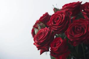 ai généré magnifique rouge des roses fermer isolé sur blanc Contexte photo