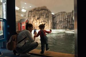 Brest, France 31 mai 2018 maman et le sien peu fille sont à la recherche à mer poisson et animaux dans le aquarium de le océanopole photo