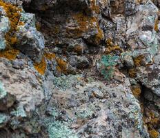 Naturel coloré modèle sur une Célibataire pierre avec mousse et champignon vent sels temps photo
