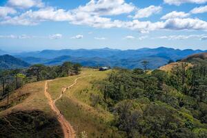 ta nang - phan bouse route avec Étape importante entre 3 les provinces par herbe collines et les forêts dans chanson mao la nature réserve photo