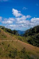 ta nang - phan bouse route avec Étape importante entre 3 les provinces par herbe collines et les forêts dans chanson mao la nature réserve photo