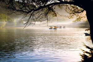 gens dans le bateaux à aubes sur le Lac à le coucher du soleil photo