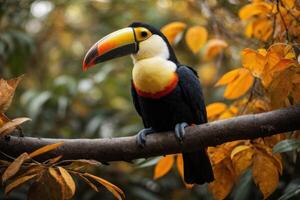 ai généré toucan sur branche dans foncé et Orange tons photo